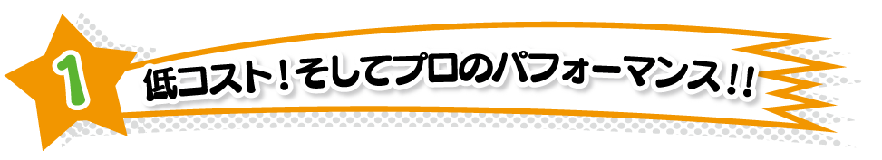 低コスト！そしてプロのパフォーマンス！！